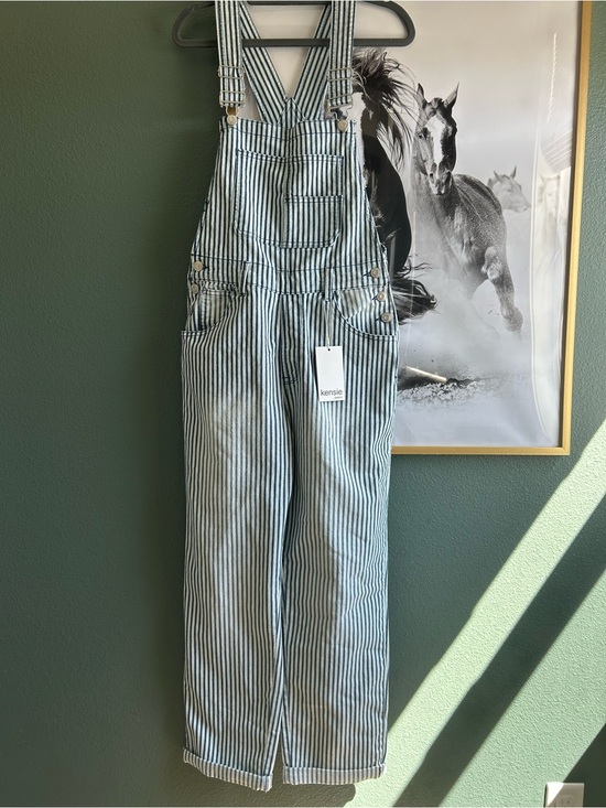Kensie Pants - kensie Blue and White Striped Overalls